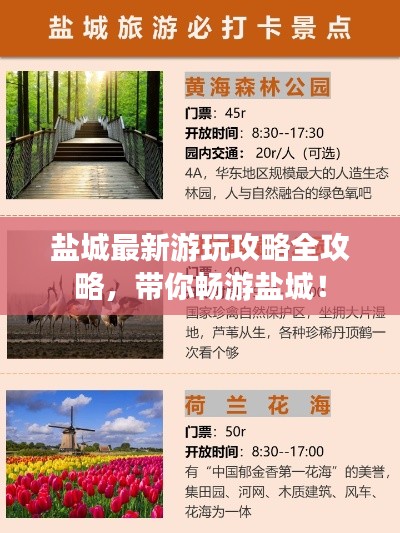 盐城最新游玩攻略全攻略，带你畅游盐城！