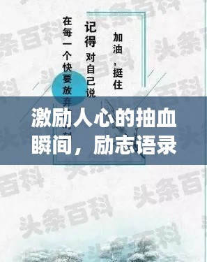 激励人心的抽血瞬间，励志语录与短句荟萃