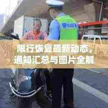 限行恢复最新动态，通知汇总与图片全解析