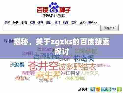 揭秘，关于zgzks的百度搜索探讨