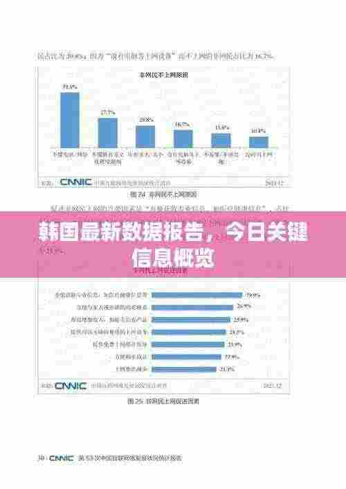 韩国最新数据报告，今日关键信息概览