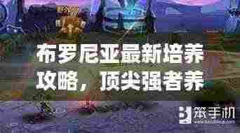 布罗尼亚最新培养攻略，顶尖强者养成秘诀