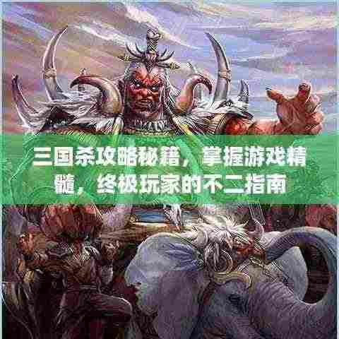 三国杀攻略秘籍，掌握游戏精髓，终极玩家的不二指南