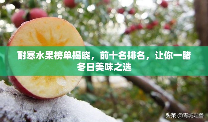 耐寒水果榜单揭晓，前十名排名，让你一睹冬日美味之选