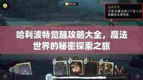 哈利波特觉醒攻略大全，魔法世界的秘密探索之旅