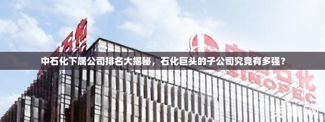 中石化下属公司排名大揭秘，石化巨头的子公司究竟有多强？