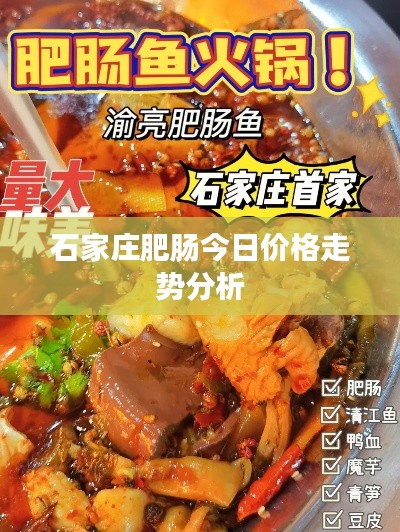 石家庄肥肠今日价格走势分析