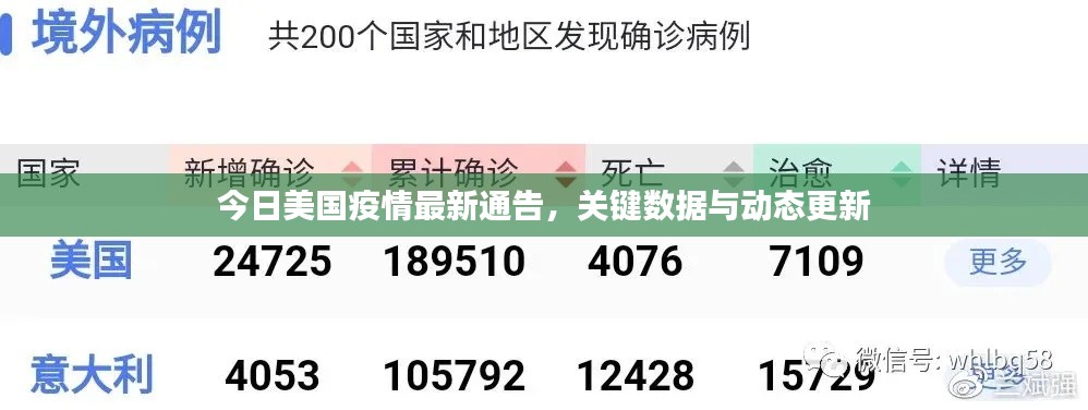 今日美国疫情最新通告，关键数据与动态更新