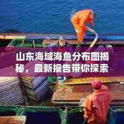 山东海域海鱼分布图揭秘，最新报告带你探索海洋宝藏