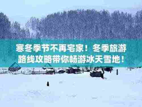 寒冬季节不再宅家！冬季旅游路线攻略带你畅游冰天雪地！