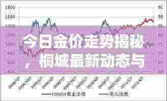 今日金价走势揭秘，桐城最新动态与影响因素分析
