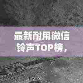 最新耐用微信铃声TOP榜，热门铃声一网打尽！
