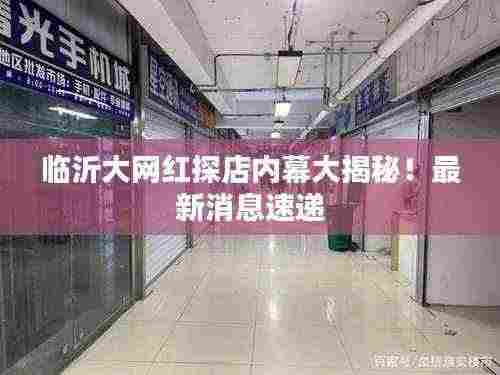 临沂大网红探店内幕大揭秘！最新消息速递