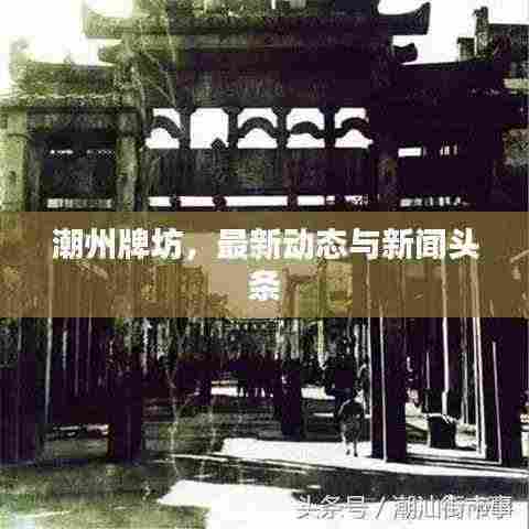 张灯挂彩 第3页