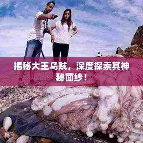揭秘大王乌贼，深度探索其神秘面纱！