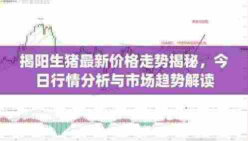 揭阳生猪最新价格走势揭秘，今日行情分析与市场趋势解读