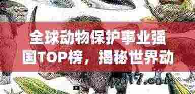 全球动物保护事业强国TOP榜，揭秘世界动物强国排名！