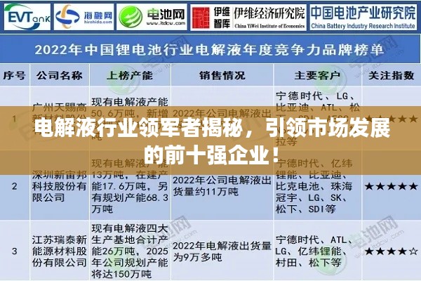 电解液行业领军者揭秘，引领市场发展的前十强企业！