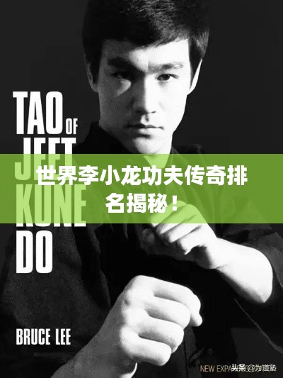 世界李小龙功夫传奇排名揭秘！