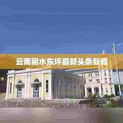云南丽水东坪最新头条新闻