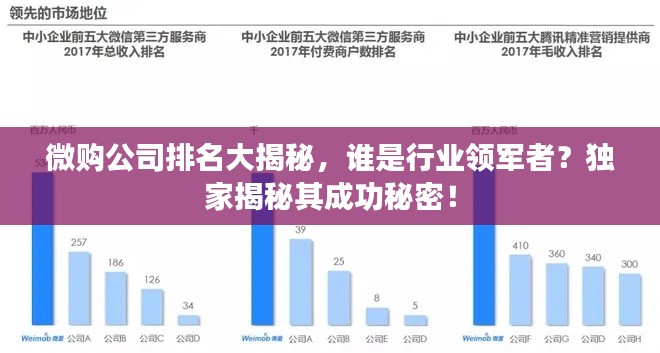 微购公司排名大揭秘，谁是行业领军者？独家揭秘其成功秘密！