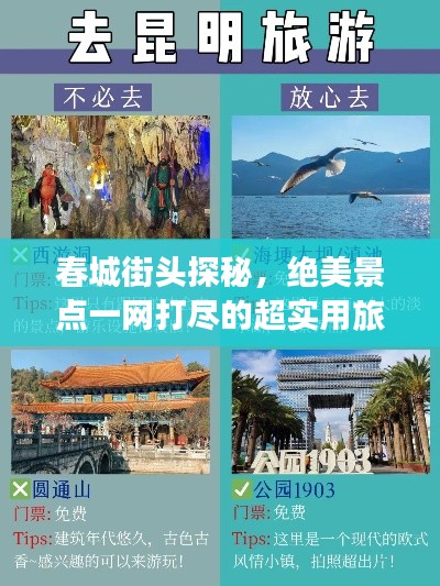 春城街头探秘，绝美景点一网打尽的超实用旅游攻略