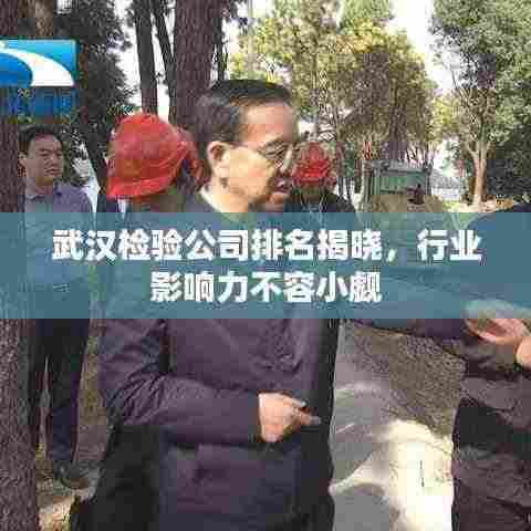 武汉检验公司排名揭晓，行业影响力不容小觑