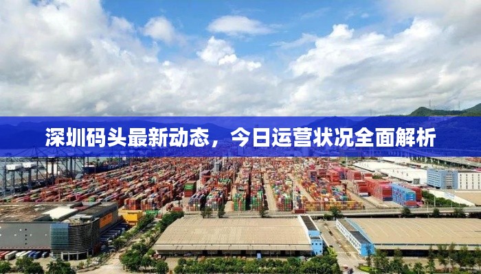 深圳码头最新动态，今日运营状况全面解析
