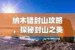 百不得一 第2页