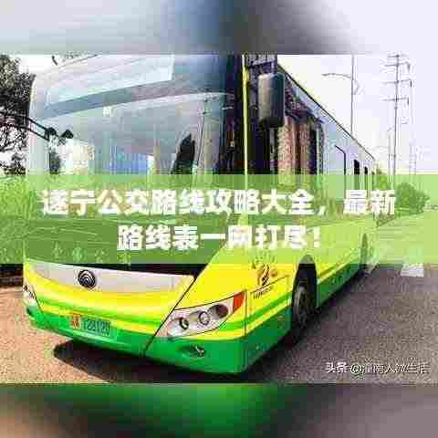 遂宁公交路线攻略大全，最新路线表一网打尽！
