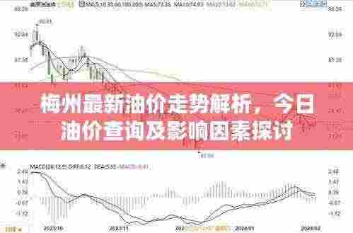 梅州最新油价走势解析，今日油价查询及影响因素探讨