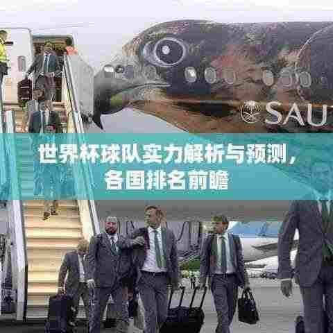 世界杯球队实力解析与预测，各国排名前瞻
