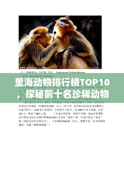 里海动物排行榜TOP10，探秘前十名珍稀动物