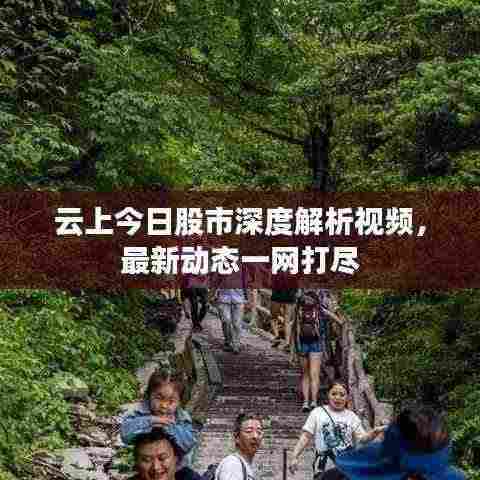 云上今日股市深度解析视频，最新动态一网打尽