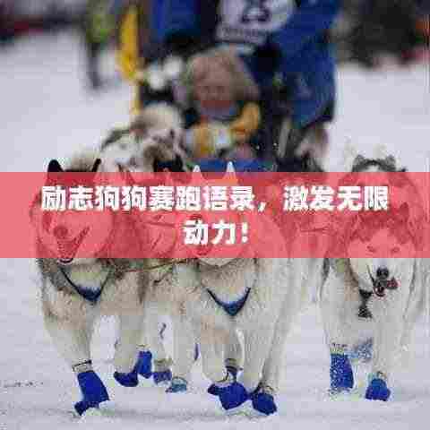 励志狗狗赛跑语录，激发无限动力！