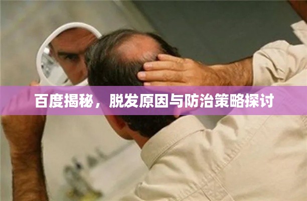 鸟尽弓藏 第3页