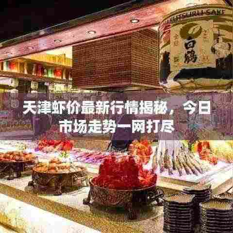 天津虾价最新行情揭秘，今日市场走势一网打尽