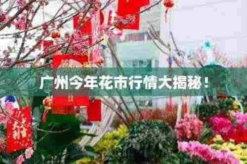 广州今年花市行情大揭秘！