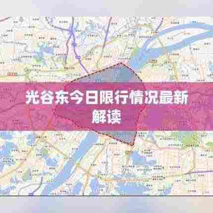 光谷东今日限行情况最新解读