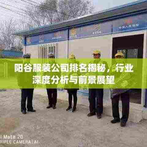 阳谷服装公司排名揭秘，行业深度分析与前景展望