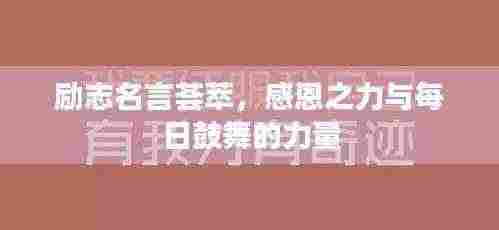 励志名言荟萃，感恩之力与每日鼓舞的力量