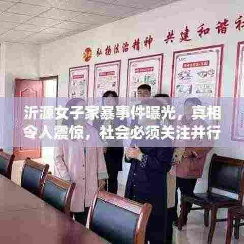沂源女子家暴事件曝光，真相令人震惊，社会必须关注并行动！