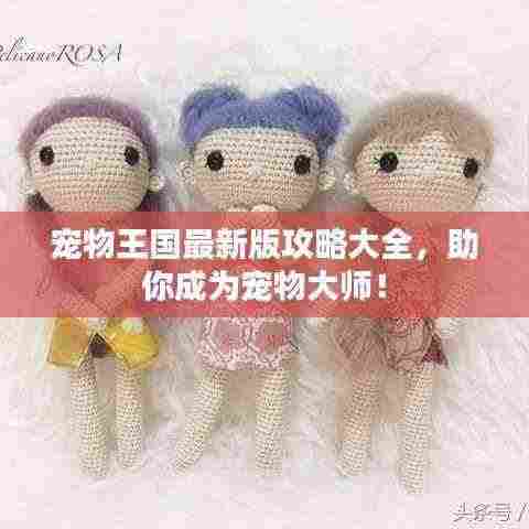 宠物王国最新版攻略大全，助你成为宠物大师！