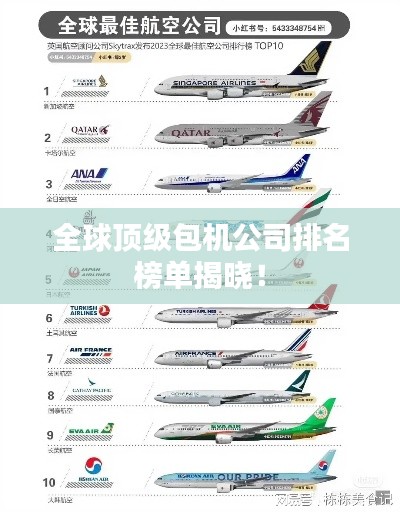 全球顶级包机公司排名榜单揭晓！
