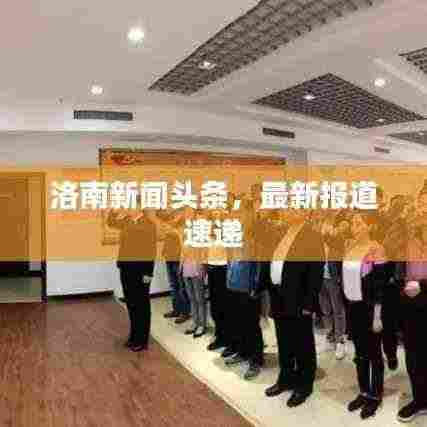 洛南新闻头条，最新报道速递