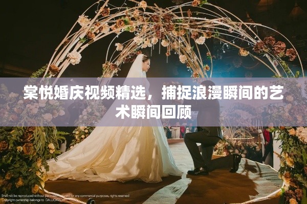 棠悦婚庆视频精选，捕捉浪漫瞬间的艺术瞬间回顾