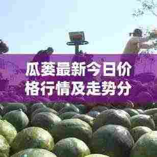 瓜蒌最新今日价格行情及走势分析