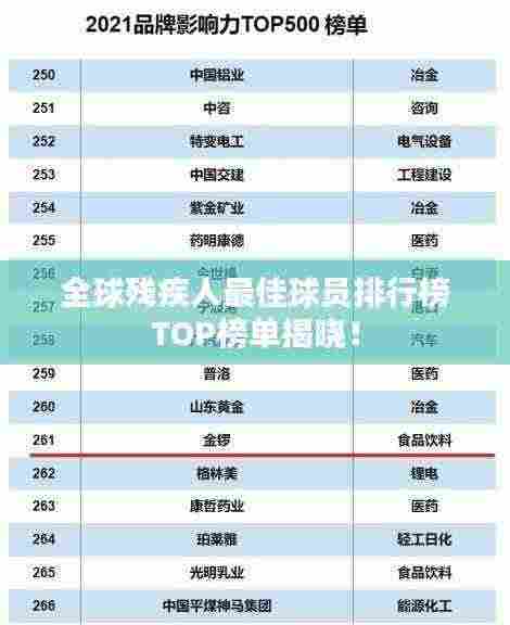 全球残疾人最佳球员排行榜TOP榜单揭晓！