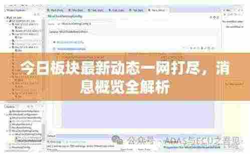 今日板块最新动态一网打尽，消息概览全解析