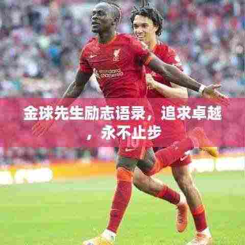 金球先生励志语录，追求卓越，永不止步